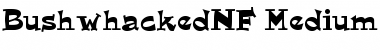 Download BushwhackedNF Medium Font Title Preview