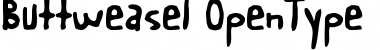 Download Buttweasel Regular Font Title Preview