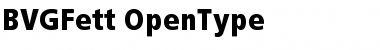 Download BVGFett Regular Font Title Preview