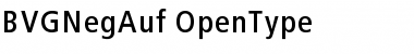 Download BVGNegAuf Regular Font Title Preview