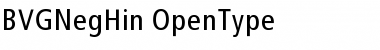 Download BVGNegHin Regular Font Title Preview