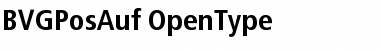 Download BVGPosAuf Regular Font Title Preview
