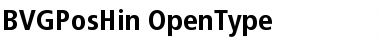 Download BVGPosHin Regular Font Title Preview
