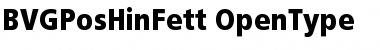 Download BVGPosHinFett Regular Font Title Preview
