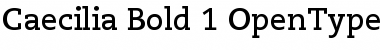 Download PMN Caecilia 75 Bold Font Title Preview