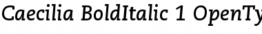 Download PMN Caecilia 76 Bold Italic Font Title Preview