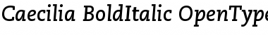 Download PMN Caecilia 76 Bold Italic Font Title Preview