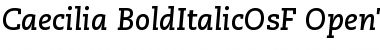 Download PMN Caecilia 76 Bold Italic OsF Font Title Preview