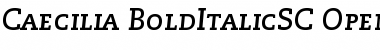 Download PMN Caecilia 76 Bold Italic Small Caps & Oldstyle Figures Font Title Preview