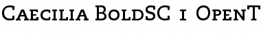 Download PMN Caecilia 75 Bold SC Font Title Preview