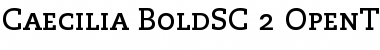 Download PMN Caecilia 75 Bold Small Caps & Oldstyle Figures Font Title Preview