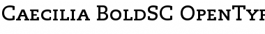 Download PMN Caecilia 75 Bold Small Caps & Oldstyle Figures Font Title Preview