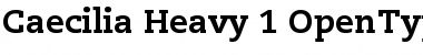 Download PMN Caecilia 85 Heavy Font Title Preview