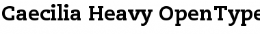 Download PMN Caecilia 85 Heavy Font Title Preview