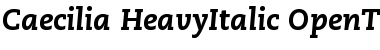 Download PMN Caecilia 86 Heavy Italic Font Title Preview