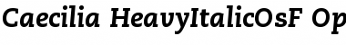 Download PMN Caecilia 86 Heavy Italic Oldstyle Figures Font Title Preview