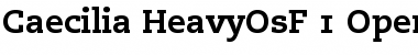 Download PMN Caecilia 85 Heavy OsF Font Title Preview