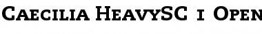 Download PMN Caecilia 85 Heavy SC Font Title Preview