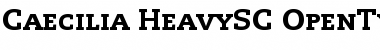 Download PMN Caecilia 85 Heavy Small Caps & Oldstyle Figures Font Title Preview
