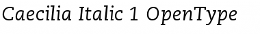 Download PMN Caecilia 56 Italic Font Title Preview