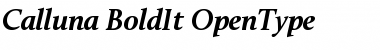 Download Calluna Bold Italic Font