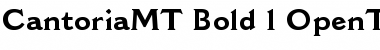 Download Cantoria MT Bold Font Title Preview