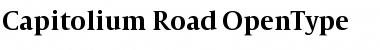 Download Capitolium Road Font Title Preview