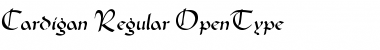 Download Cardigan Regular Font Title Preview