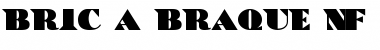 Download BricaBraque NF Regular Font Title Preview