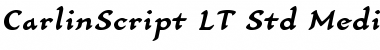 Download CarlinScript LT Std Light BoldItalic Font Title Preview