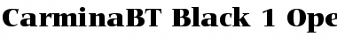 Download Bitstream Carmina Black Font Title Preview