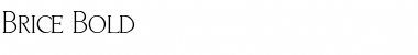 Download Brice Bold Font Title Preview