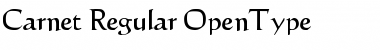 Download Carnet Regular Font Title Preview