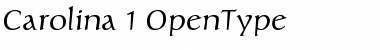 Download Carolina Regular Font Title Preview