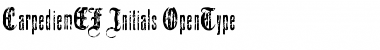 Download CarpediemEF Initials Font Title Preview