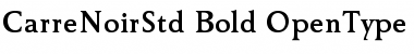 Download Carre Noir Std Bold Font Title Preview