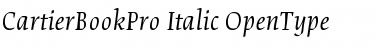 Download Cartier Book Pro Italic Font Title Preview