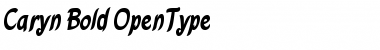 Download Caryn Bold Font Title Preview