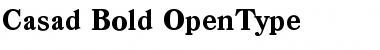 Download Casad-Bold Regular Font Title Preview