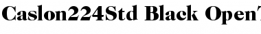 Download ITC Caslon 224 Std Black Font Title Preview