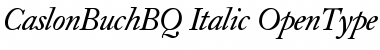 Download Caslon Buch BQ Regular Font Title Preview