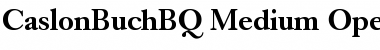 Download Caslon Buch BQ Regular Font Title Preview