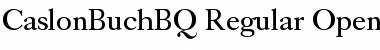 Download Caslon Buch BQ Regular Font Title Preview