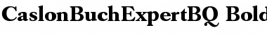 Download Caslon Buch Expert BQ Regular Font Title Preview