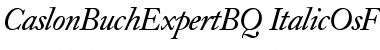 Download Caslon Buch Expert BQ Regular Font Title Preview