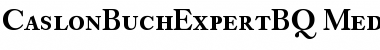 Download Caslon Buch Expert BQ Regular Font Title Preview