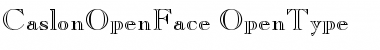Download Caslon Open Face Light Font Title Preview