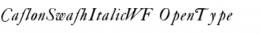 Download CaslonSwashItalicWF Regular Font Title Preview