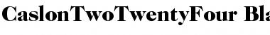Download ITC Caslon 224 Black Font Title Preview