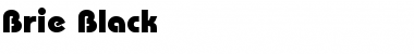 Download Brie Black Regular Font Title Preview